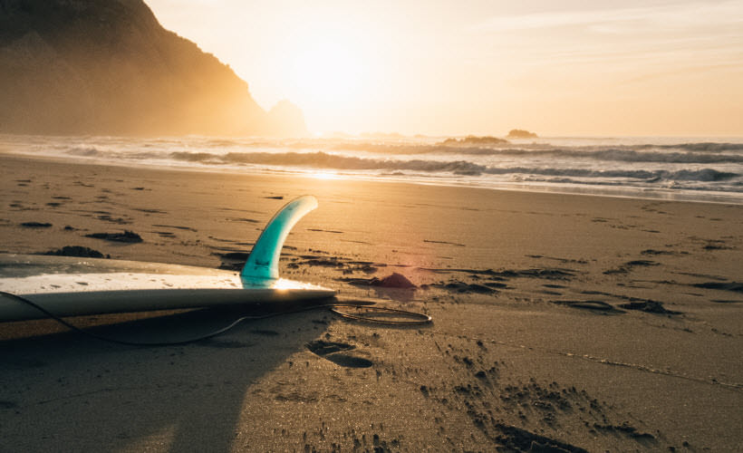 Auctor Phasellus lacinia fringilla 