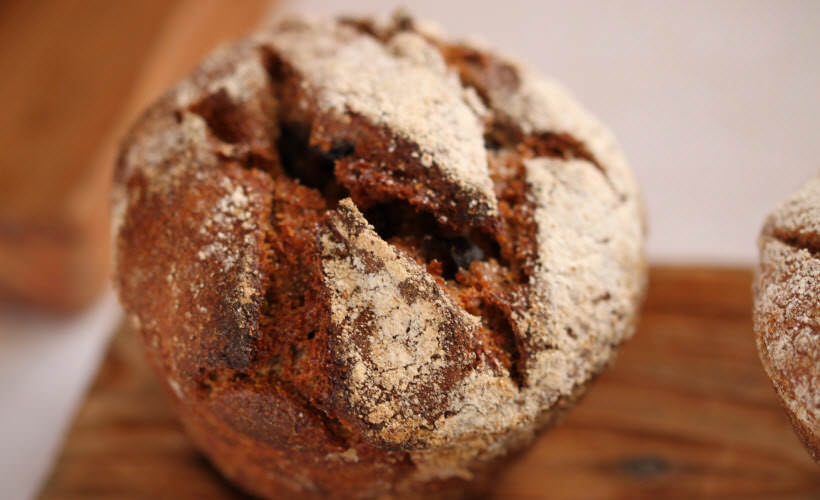 Lorem ipsum dolor sit amet, consectetur adipiscing elit.