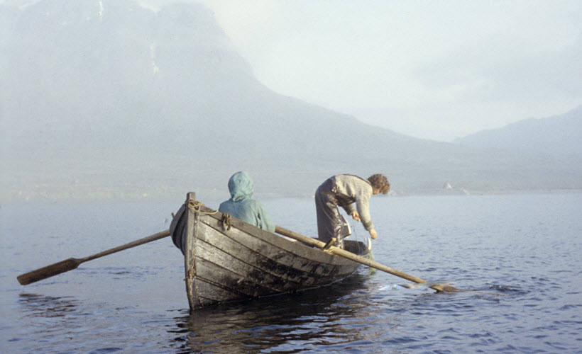 Euismod augue nibh lorem laoreet