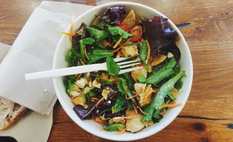 Mauris placerat eleifend